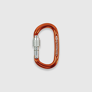 Карабін Climbing Technology Pillar SG