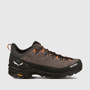 Кросівки Salewa ALP Trainer 2 | Brown
