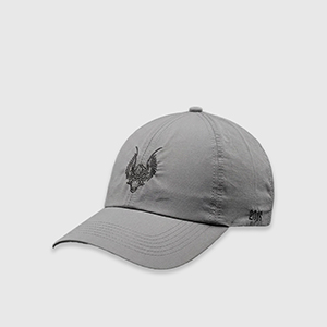 Кепка Company Group Кажан | Grey